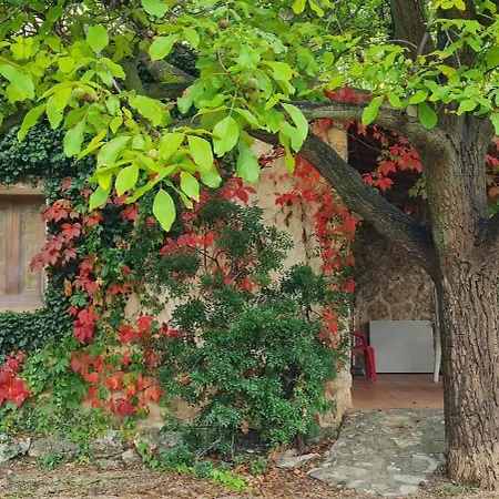 Casas Rurales Los Enebros Nerpio-2